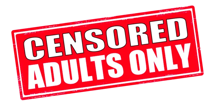 How to Get High Google and Bing Traffic to a New Adult Blog